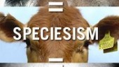 especismo