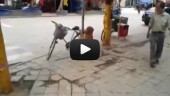 cuida bici