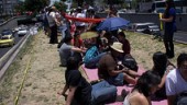 picnicrio