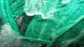 Yalav-verde